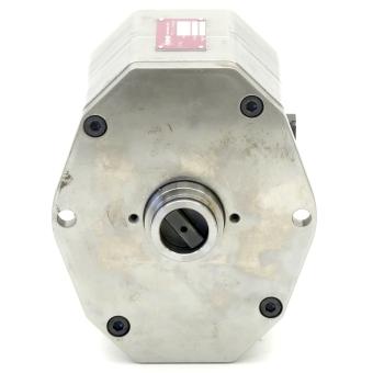 Gear pump PZ12D2-3 