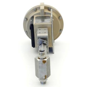 Pneumatic actuator 