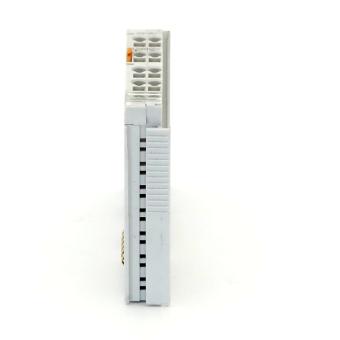 Binäres Platzhaltermodul 