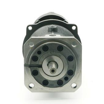 Screw spindle Pump 