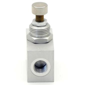 throttle check valve 