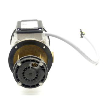 Tauchpumpe TM-601-110.0030 