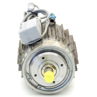 Electric rotary drive 
