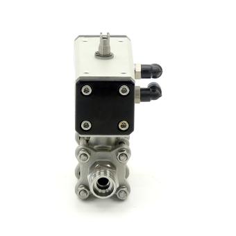 Pneumatic actuator 