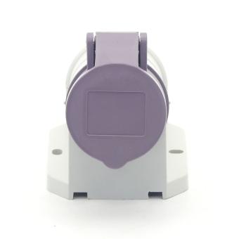 Socket violet 