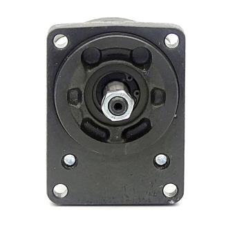 gear pump 