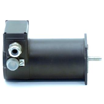 Servomotor RDM 5913/50 LNB 