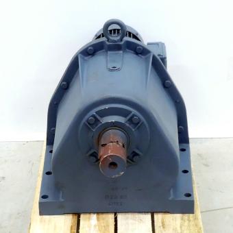 Gear motor 