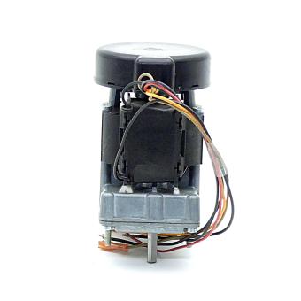 Gear motor 