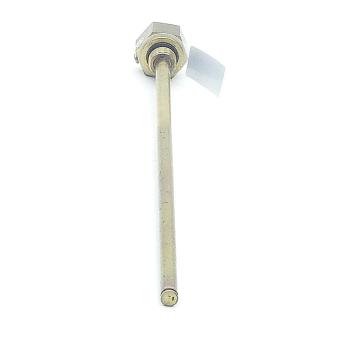 Immersion temperature sensor TF M-PT100-M12-ASI 