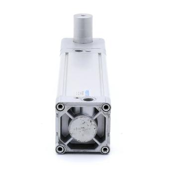 Pneumatic Cylinder 163462 Used