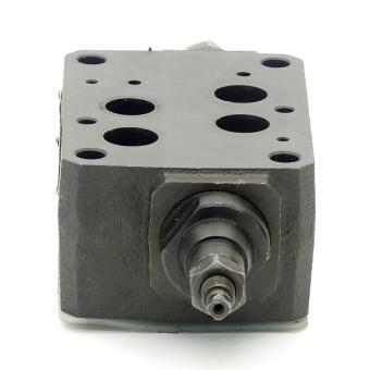 Throttle check valve  