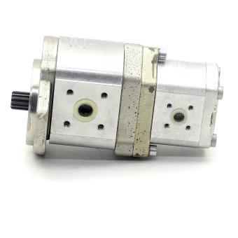 Zahnradpumpe / Doppelpumpe 0 517 766 303  