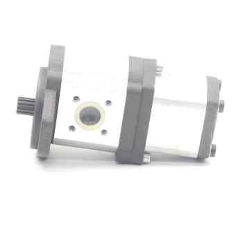 Zahnradpumpe / Doppelpumpe 0 510 767 033  Neuwertig