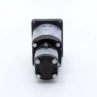 Gear pump 