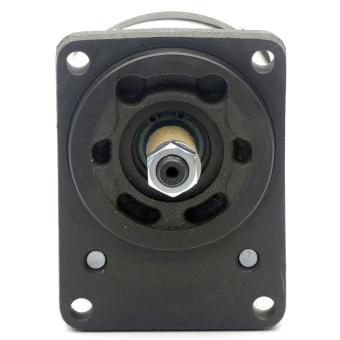 Gear pump 