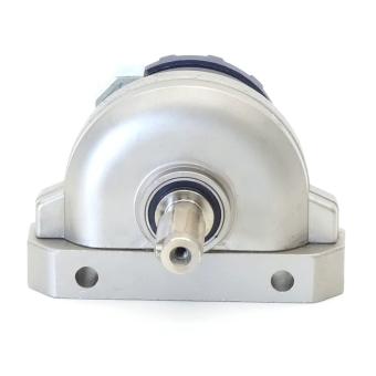 Schwenkantrieb DSR-25-180-P 