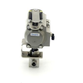 Pneumatic control head 