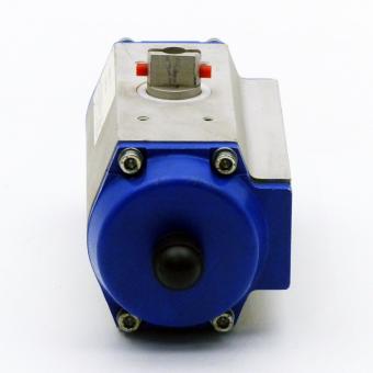 Pneumatic actuator 