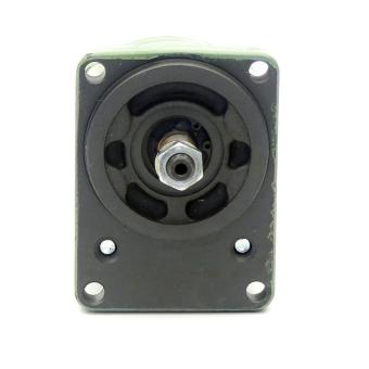 gear pumps 