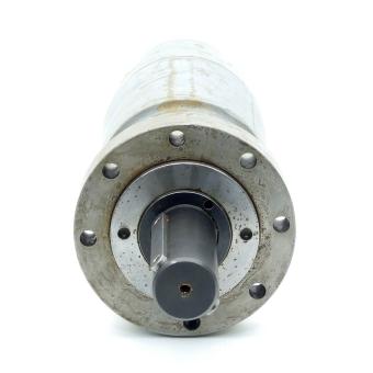 Hydraulic motor 