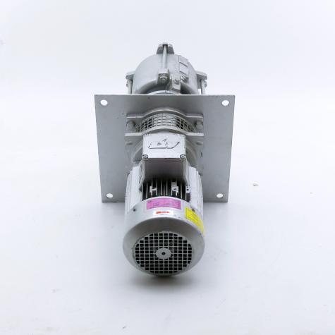 Tauchpumpen 2001002759 Gebraucht