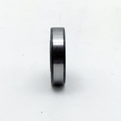 Cylindrical Roller Bearing  New FS