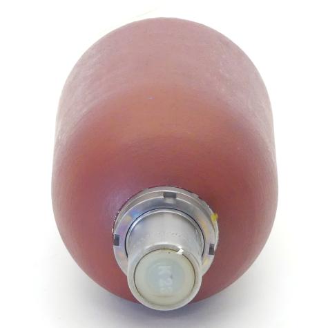 Bladder accumulator HAB1-350-41/2G05G-2N111-BA New