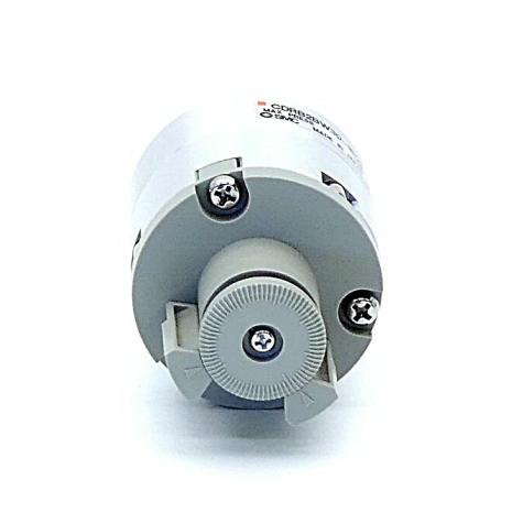 Pneumatic rotary actuator  