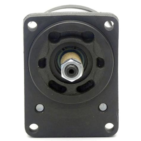 Gear pump AZPF-11-011RCB20MB New