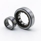 Cylindrical Roller Bearing  New FS