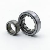 Cylindrical Roller Bearing OAPN New FS