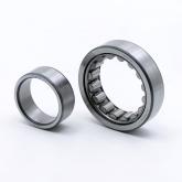 Cylindrical Roller Bearing  New FS
