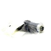 Rundsteckverbinder  Neu OVP