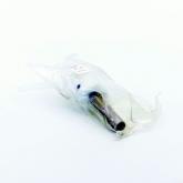 Piston rod mod. 677735 New FS