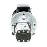 Doppelzahnradpumpe mit Motor HMA2-90L-4 0510 565 146 Neu