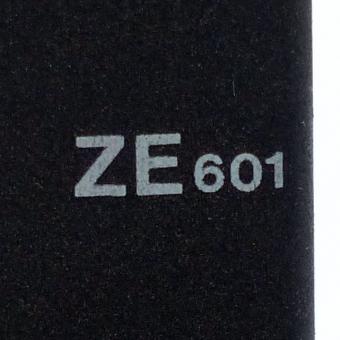 Zentraleinheit ZE 601 