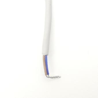 Reed switch 