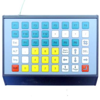 Control panel TFP.P0151-()(01)() 