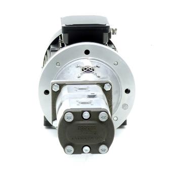 Double Gear Pump with Motor HMA2-90L-4 