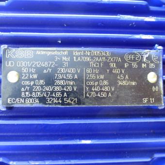 Self-Priming Pump Etaprime 5. 13 222  New