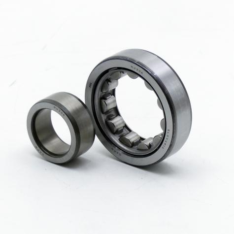 Cylindrical Roller Bearing OAPN New FS