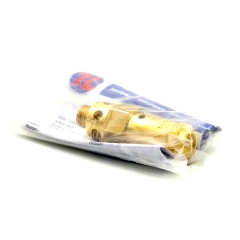 safety valve  New FS