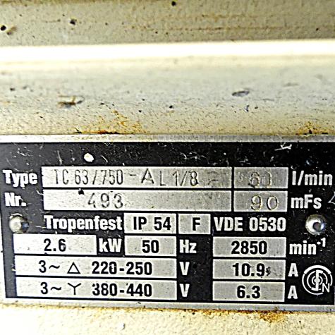 Eintauchpumpe  Gebraucht