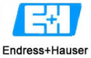 Endress+Hauser