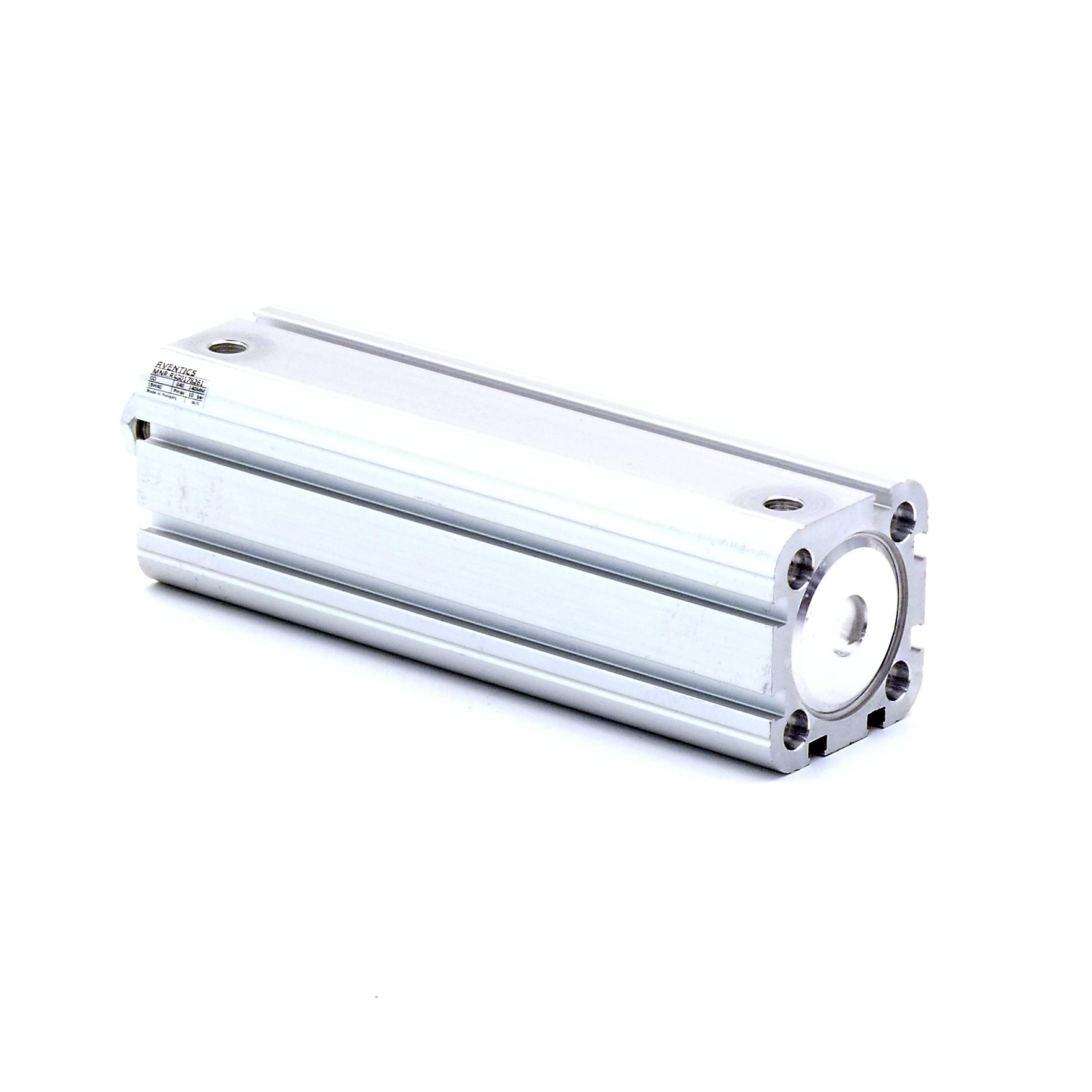 Pneumatic cylinder R480178261 