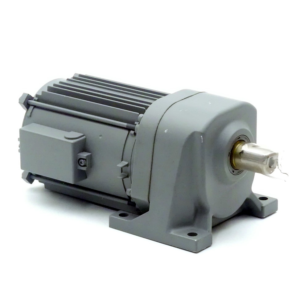 3 Phase Gear Motor 