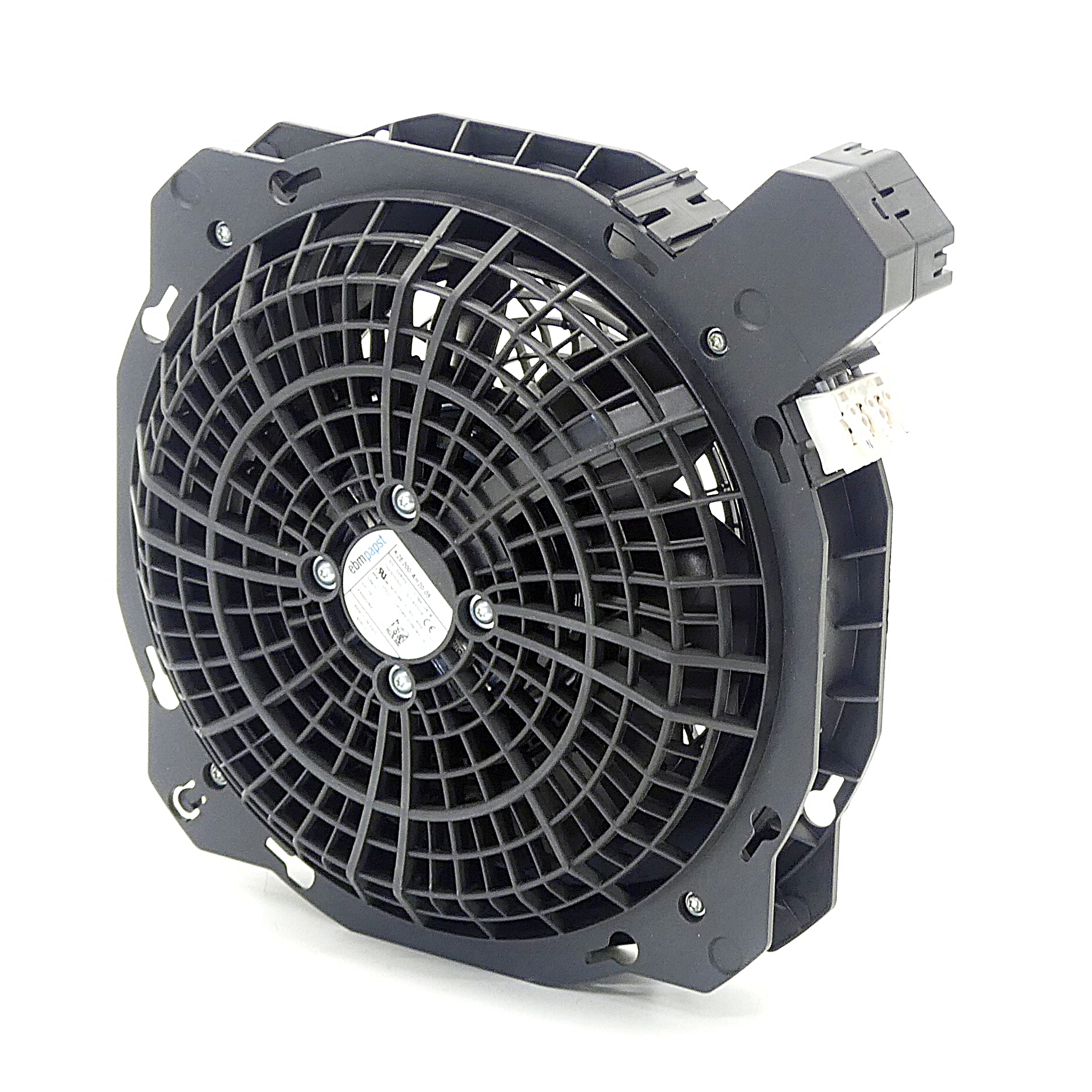 fan 