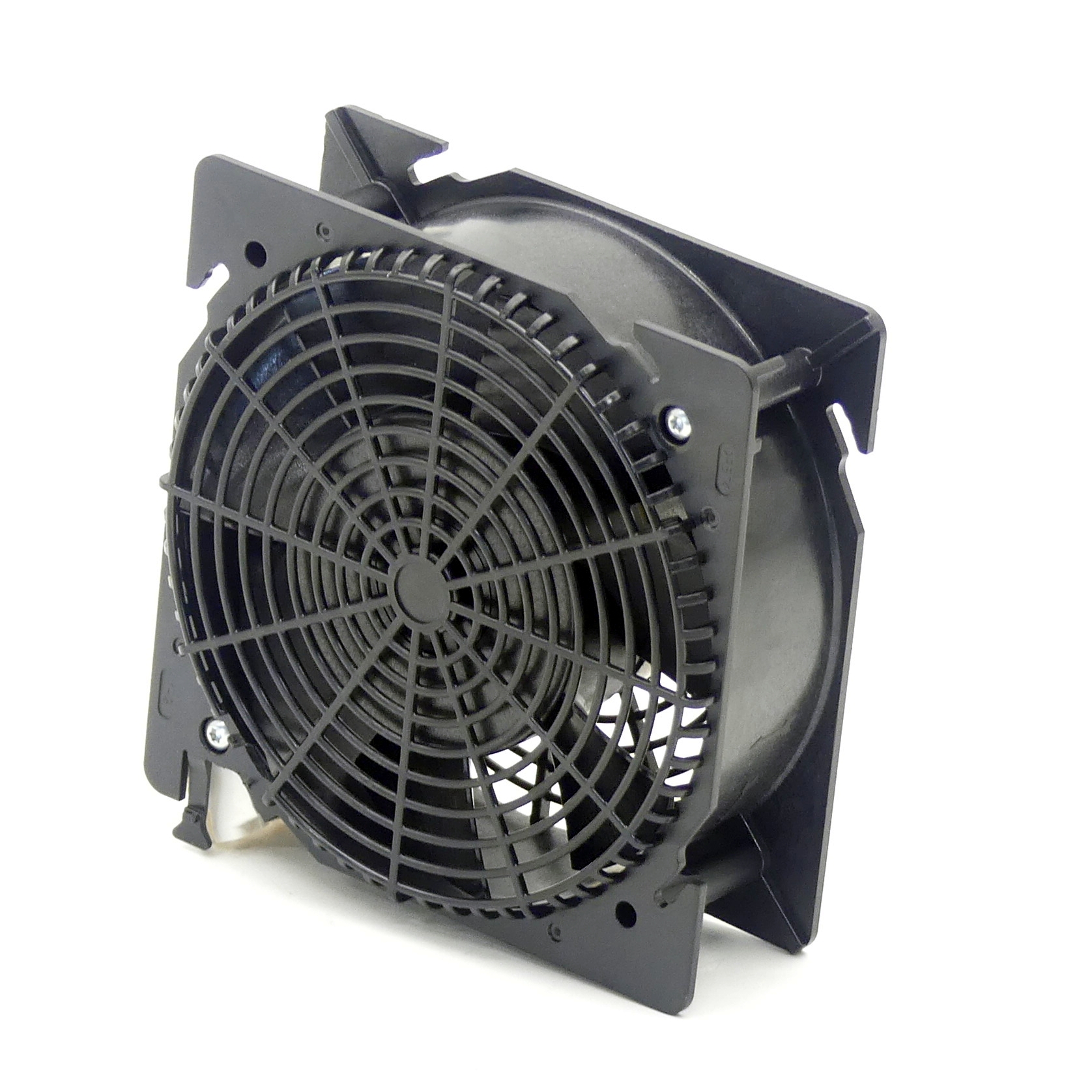 fan