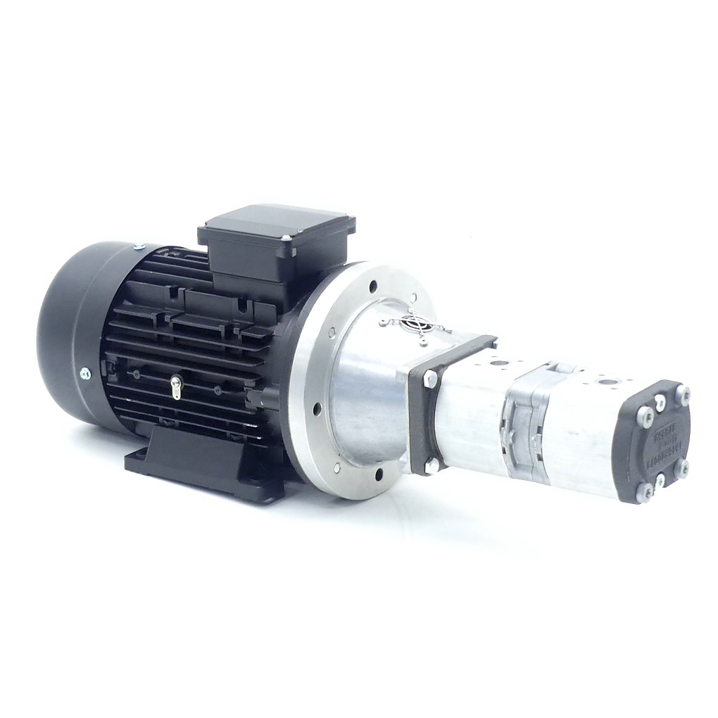 Double Gear Pump with Motor HMA2-90L-4 